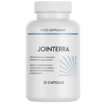 Jointerra